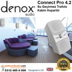 Denox Connect Pro 4.2 Su Geçirmez Trafolu Kabin Hoparlör