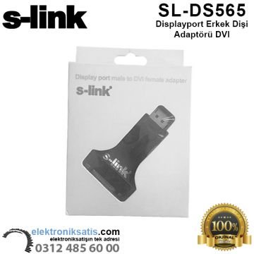 S-link SL-DS565 Displayport DVI  Erkek Dişi Adaptörü