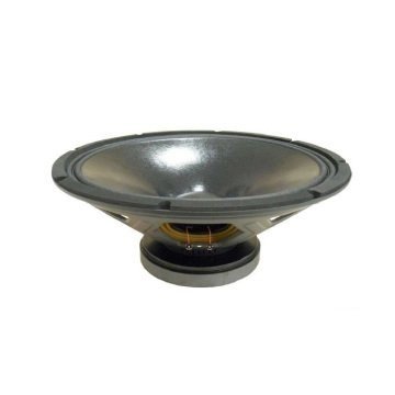 Beyma 15WRS400 15 inç 38 cm Hoparlör