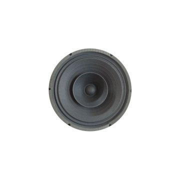 Beyma 8AG/N 8 inç- 20 cm Hoparlör